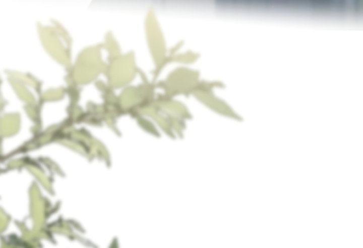 Манга По кончине моей, юный жених - Глава 2 Страница 37