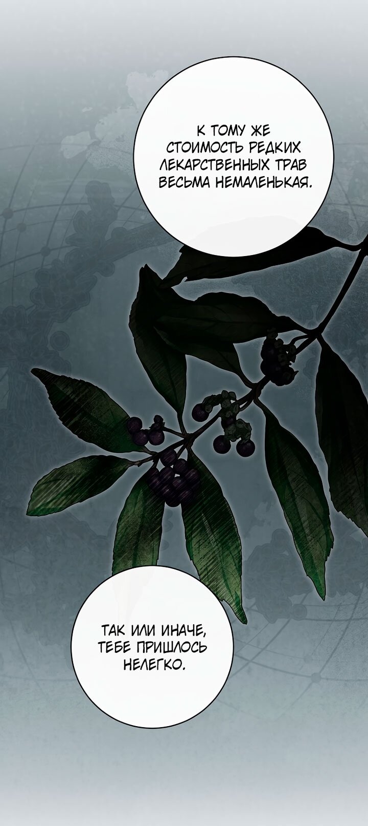 Манга По кончине моей, юный жених - Глава 33 Страница 24