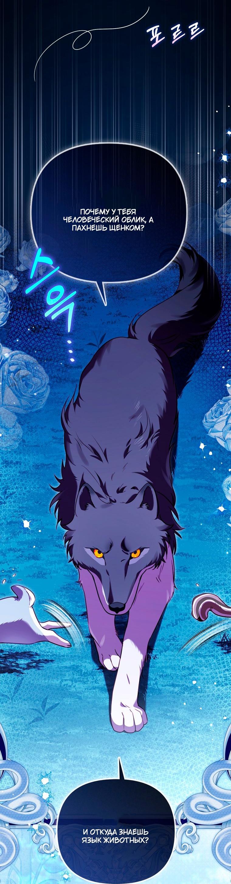 Манга Храбрый щеночек спешит на помощь сестре-злодейке - Глава 35 Страница 61