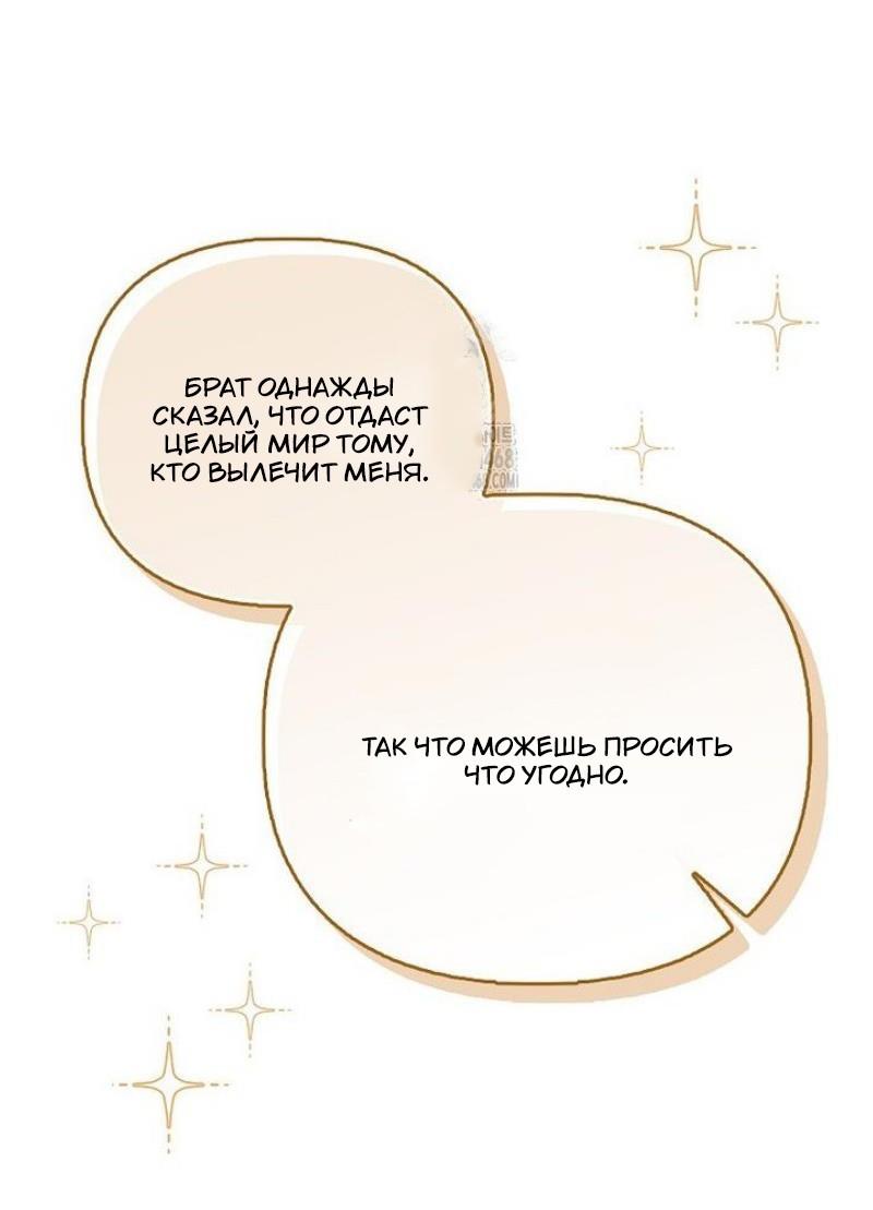 Манга Храбрый щеночек спешит на помощь сестре-злодейке - Глава 24 Страница 50