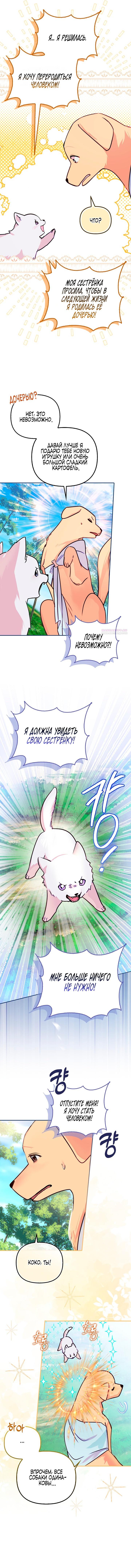 Манга Храбрый щеночек спешит на помощь сестре-злодейке - Глава 1 Страница 27