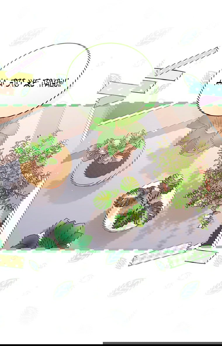 Манга Младшая многое скрывает - Глава 17 Страница 11