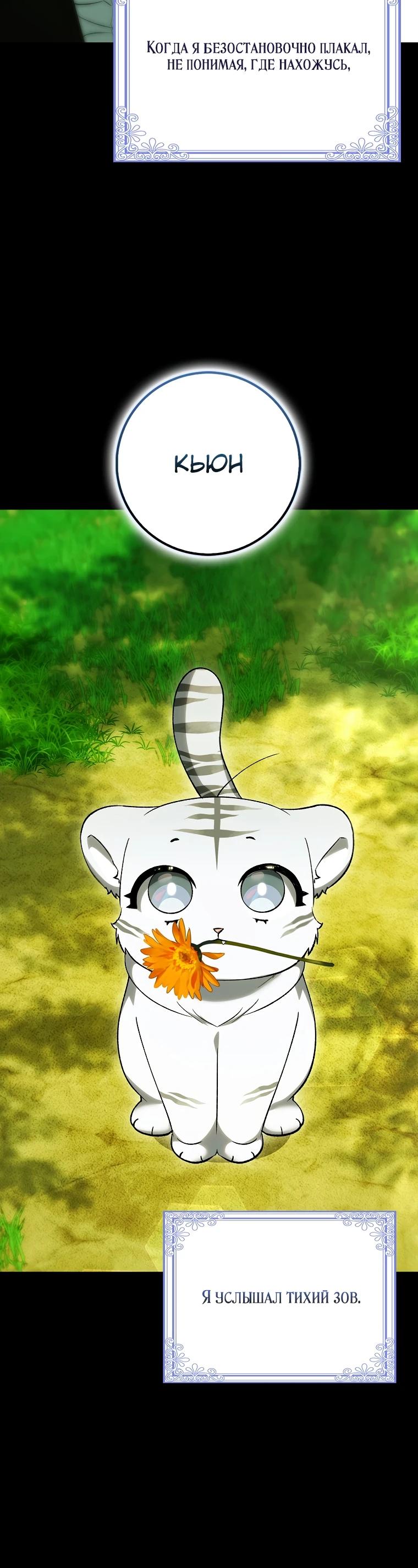 Манга Принцесса Белого Тигра не опасна - Глава 13 Страница 19