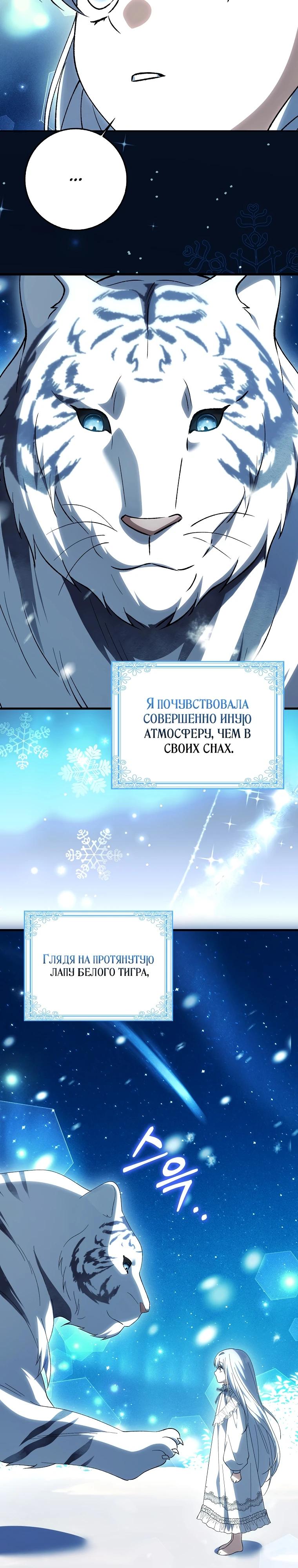 Манга Принцесса Белого Тигра не опасна - Глава 9 Страница 26