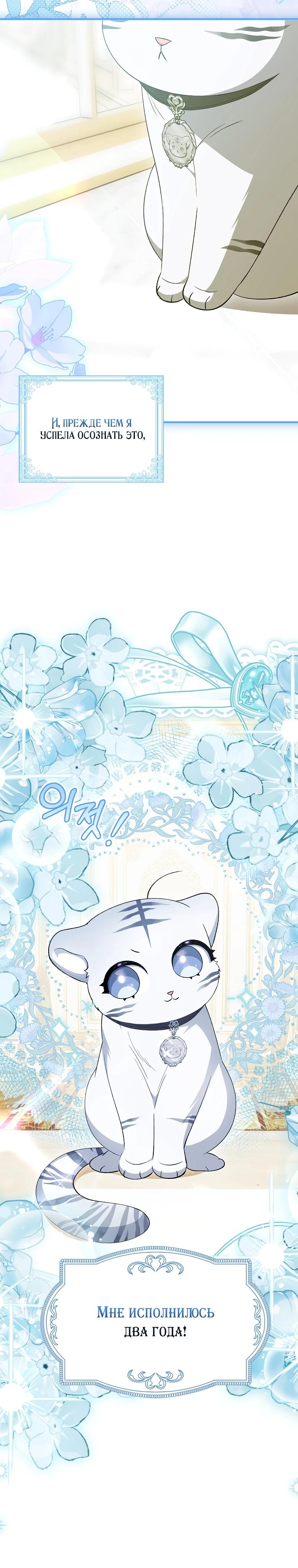 Манга Принцесса Белого Тигра не опасна - Глава 7 Страница 40