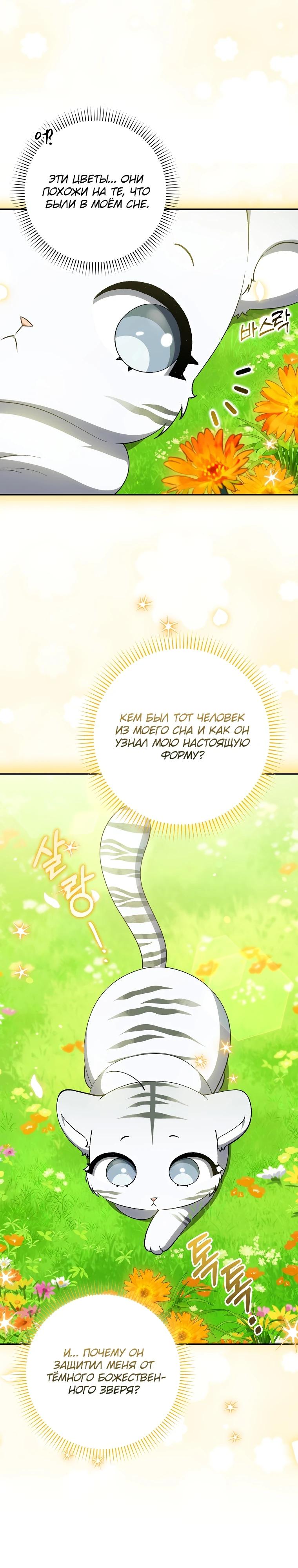 Манга Принцесса Белого Тигра не опасна - Глава 6 Страница 26