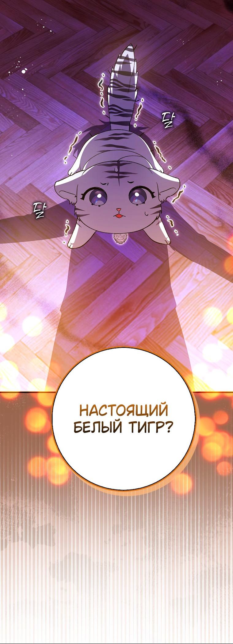 Манга Принцесса Белого Тигра не опасна - Глава 3 Страница 21