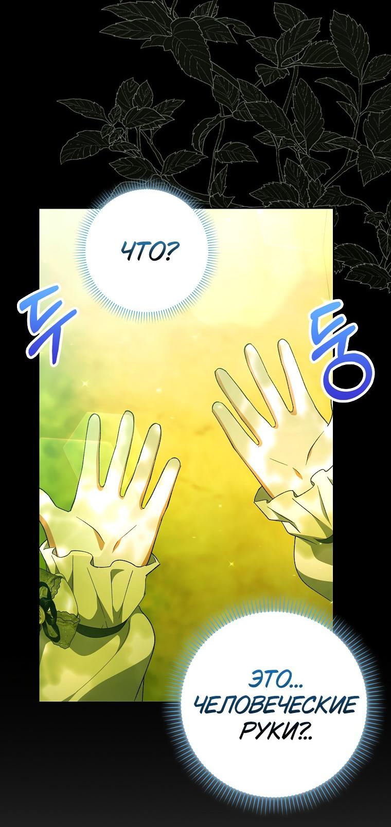 Манга Принцесса Белого Тигра не опасна - Глава 2 Страница 46