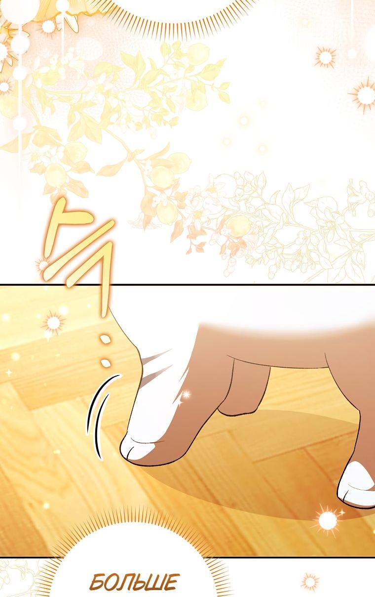 Манга Принцесса Белого Тигра не опасна - Глава 2 Страница 36