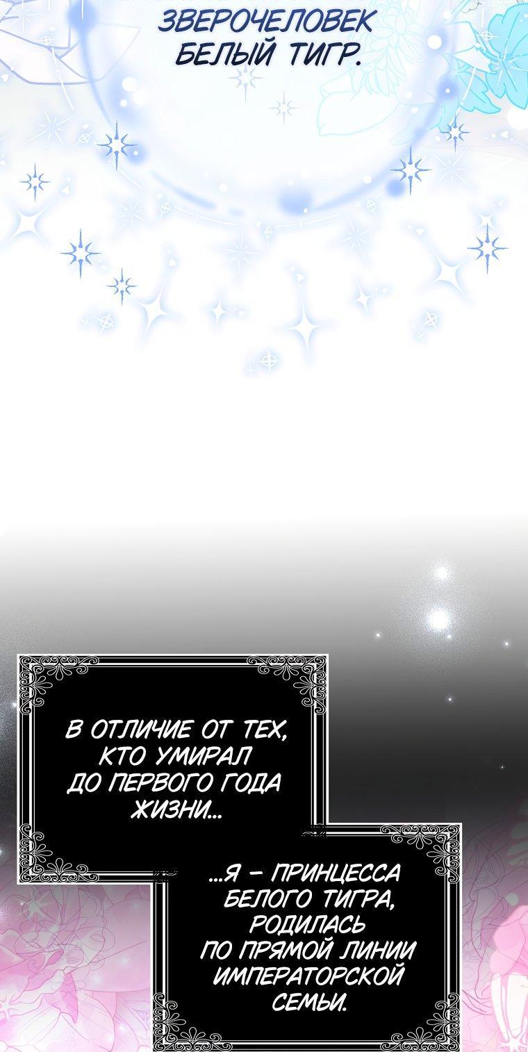 Манга Принцесса Белого Тигра не опасна - Глава 1 Страница 33