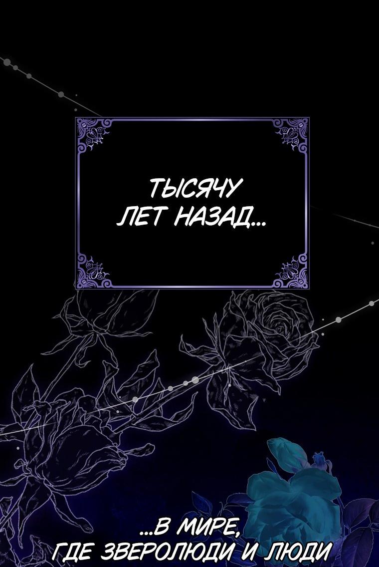 Манга Принцесса Белого Тигра не опасна - Глава 1 Страница 14