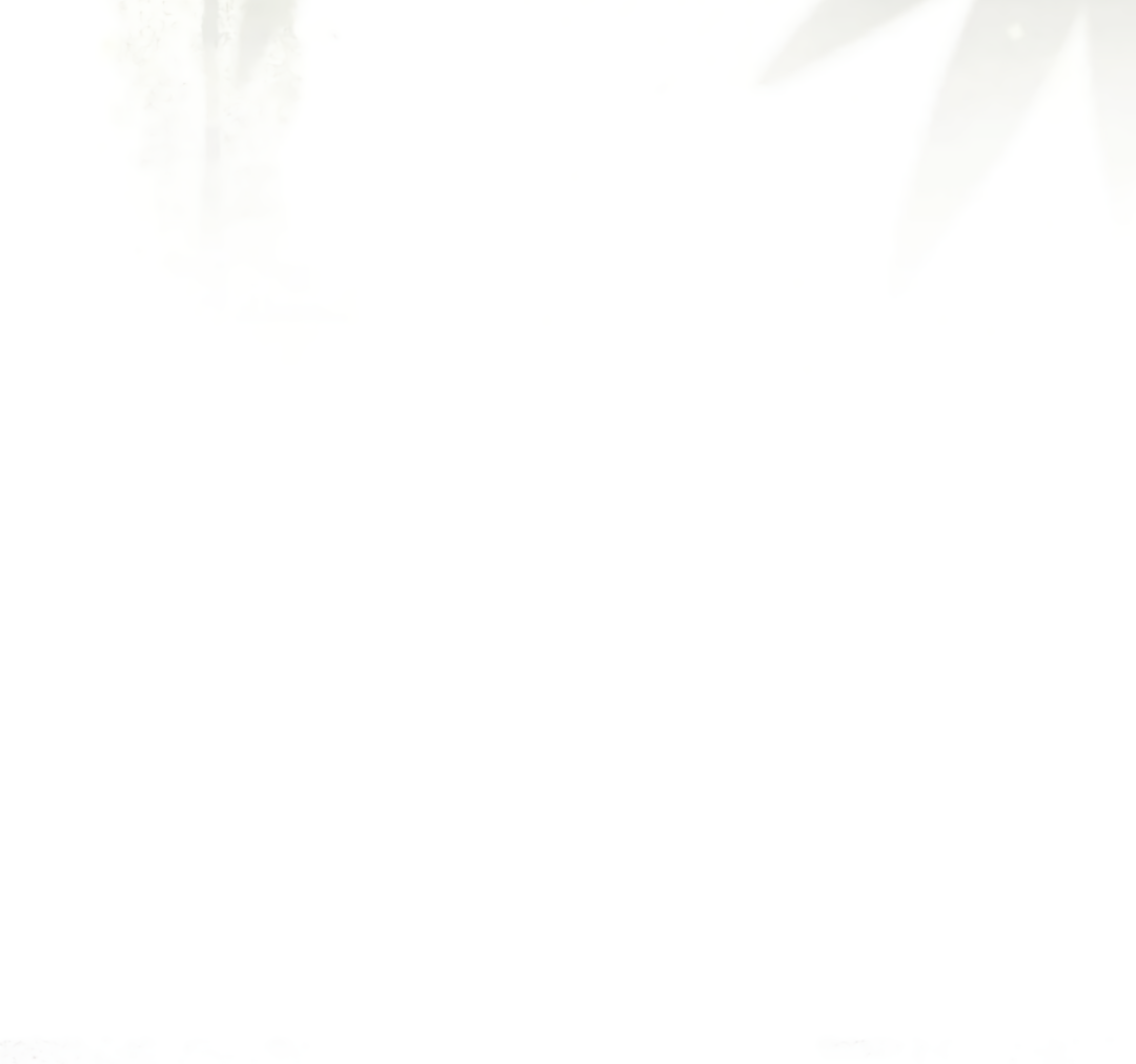 Манга Воин должен это сделать! - Глава 1 Страница 18