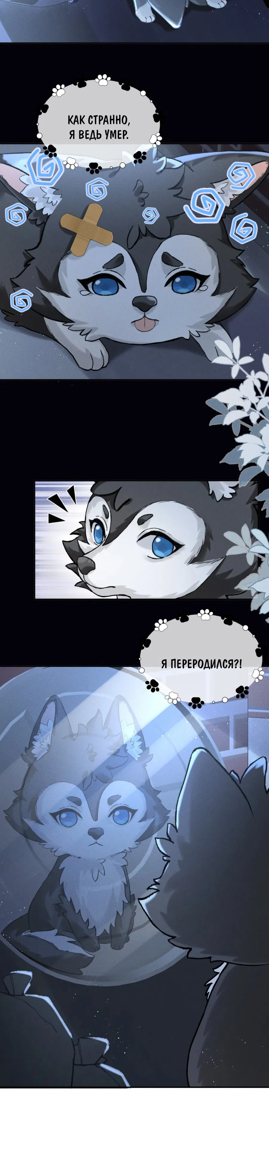 Манга На поводке у вампира - Глава 1 Страница 21