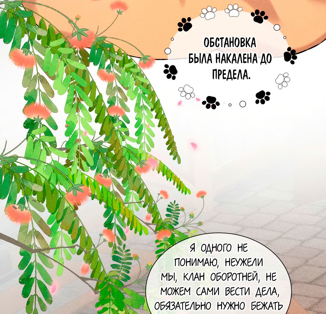 Манга На поводке у вампира - Глава 19 Страница 9