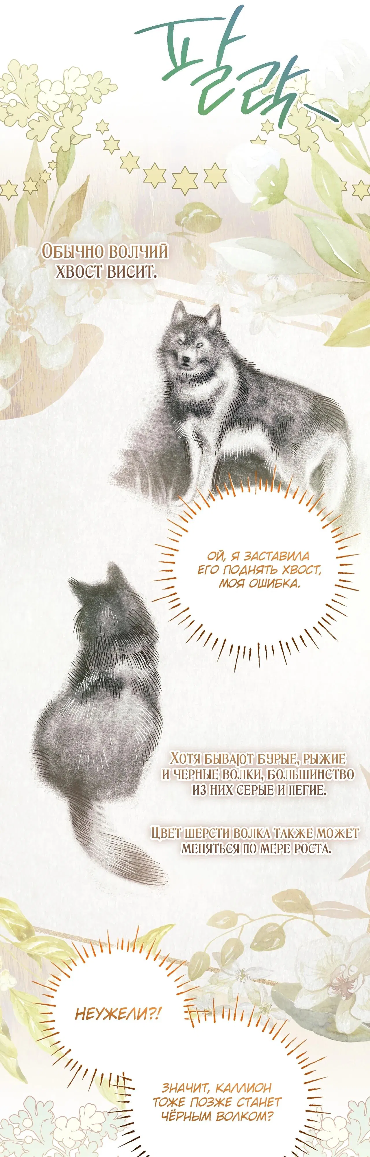 Манга Моему дорогому волку - Глава 9 Страница 51