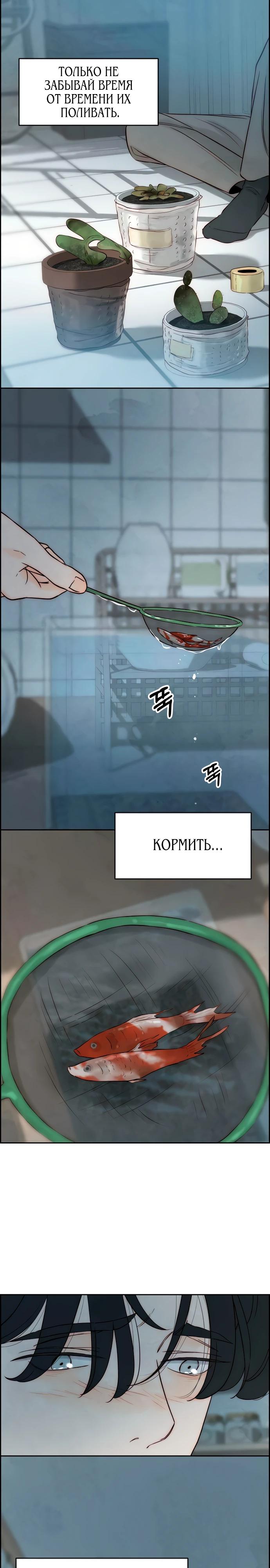 Манга Навсегда вне моей досягаемости - Глава 10 Страница 17