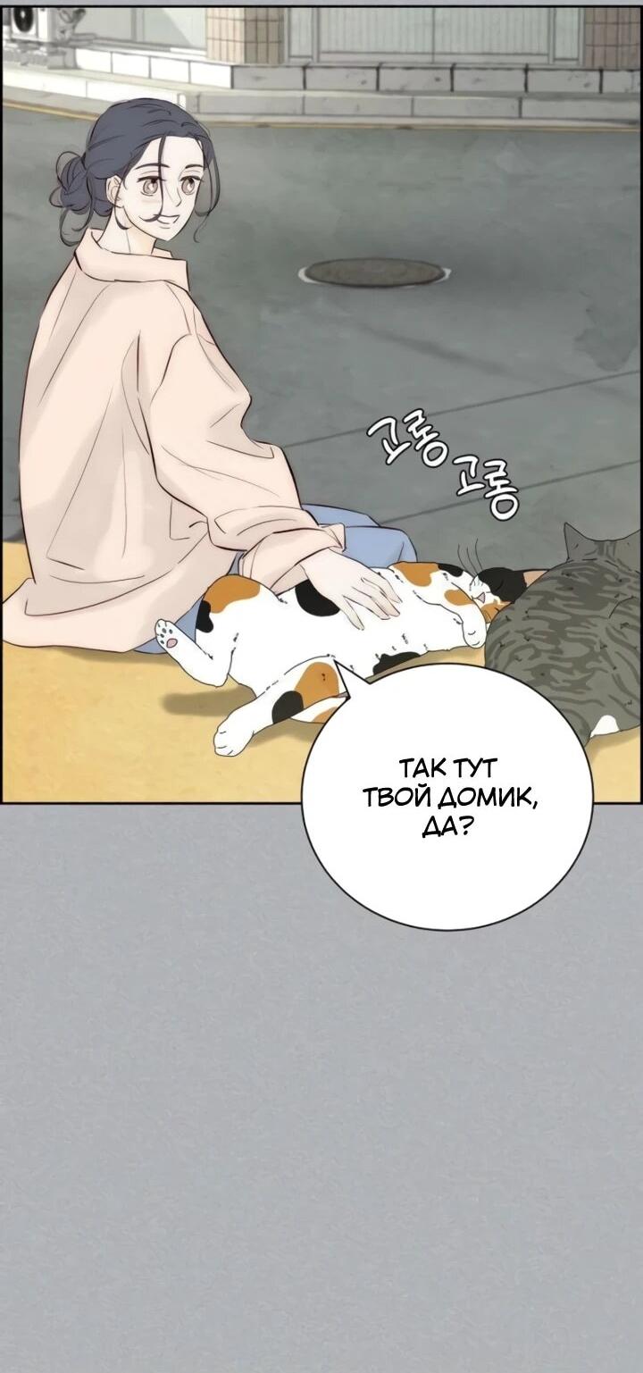 Манга Навсегда вне моей досягаемости - Глава 4 Страница 19