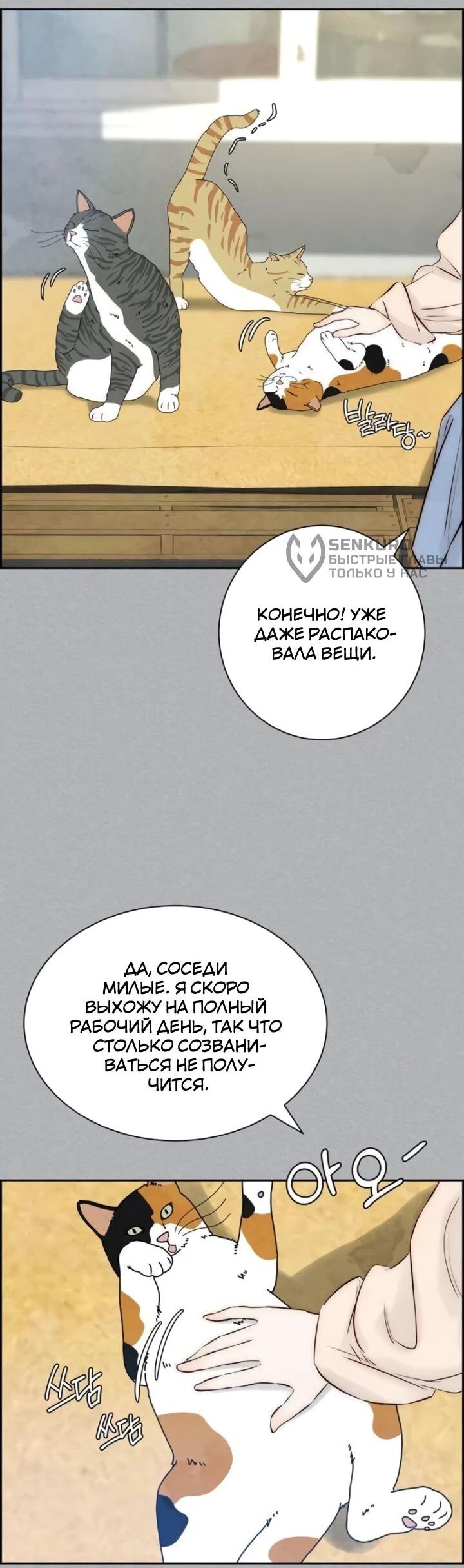 Манга Навсегда вне моей досягаемости - Глава 4 Страница 17