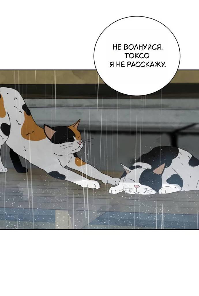 Манга Навсегда вне моей досягаемости - Глава 19 Страница 16