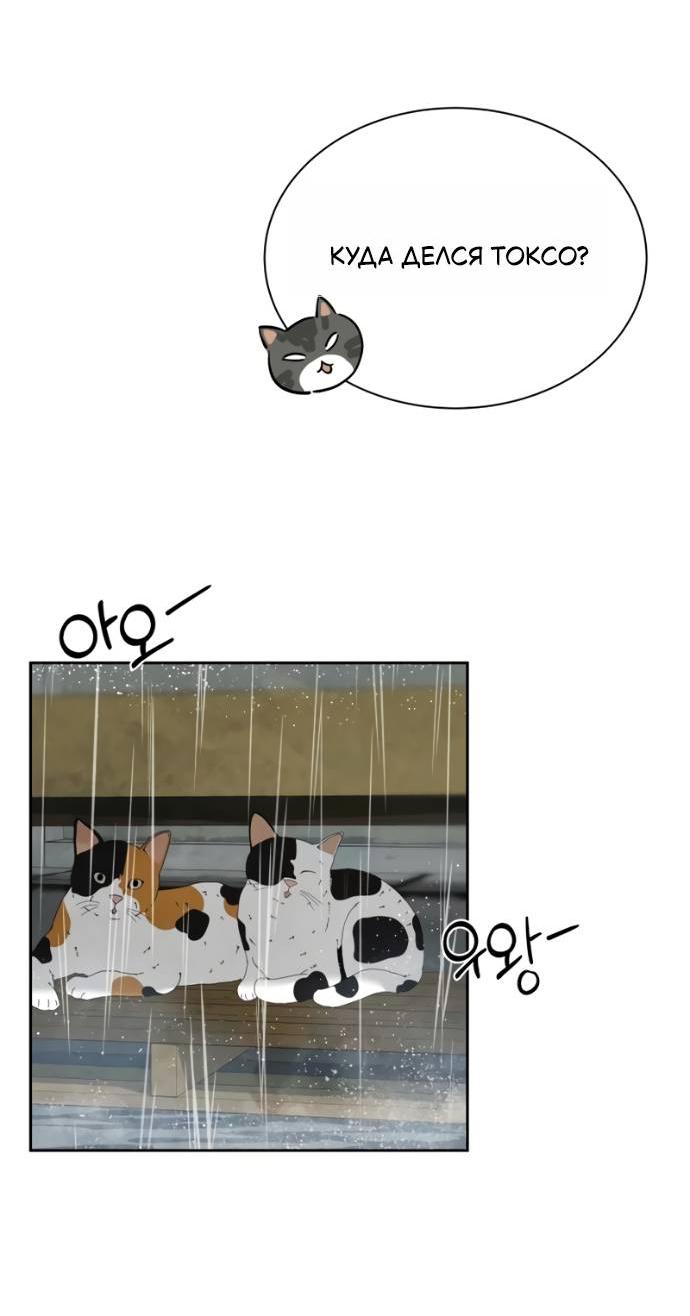 Манга Навсегда вне моей досягаемости - Глава 19 Страница 14