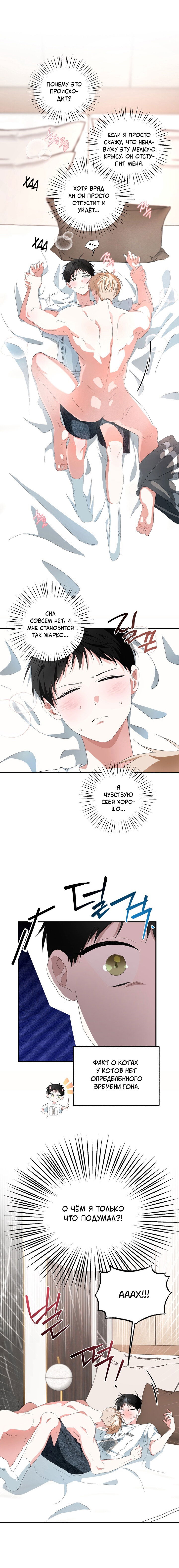 Манга Пожалуйста, полюби даже такую крысу - Глава 11 Страница 5