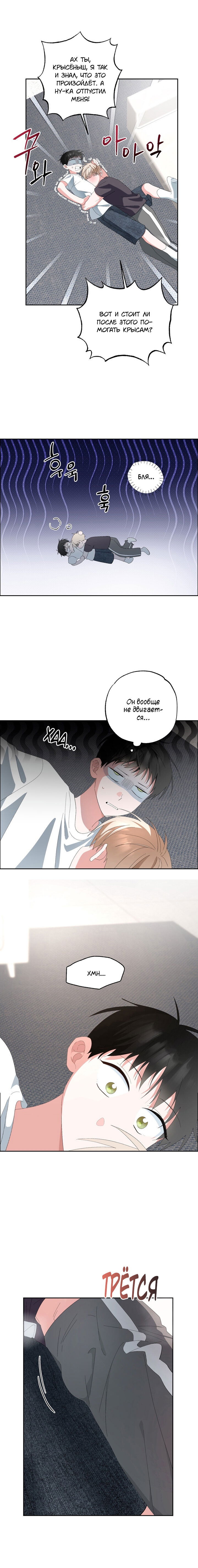 Манга Пожалуйста, полюби даже такую крысу - Глава 10 Страница 5