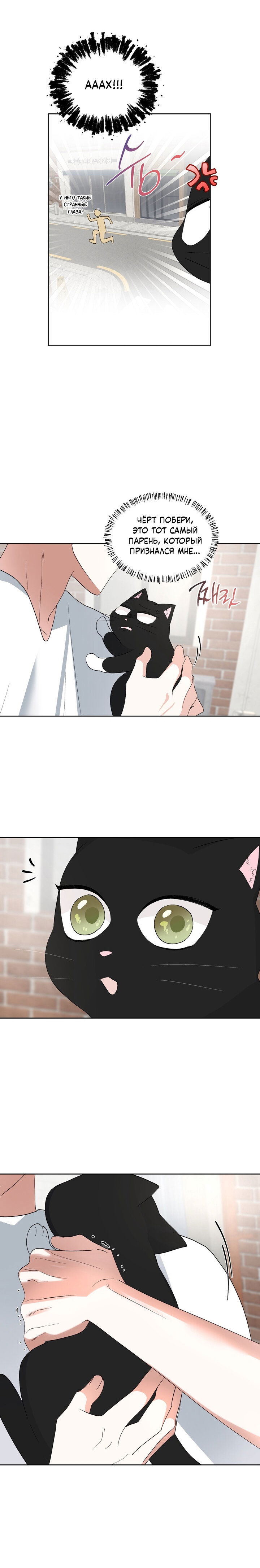 Манга Пожалуйста, полюби даже такую крысу - Глава 6 Страница 15