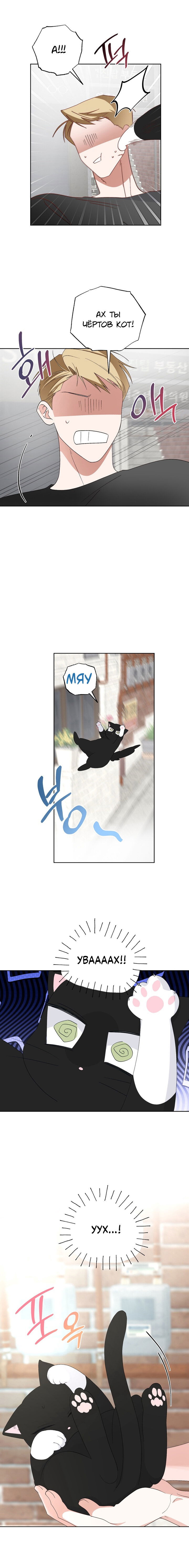 Манга Пожалуйста, полюби даже такую крысу - Глава 6 Страница 12