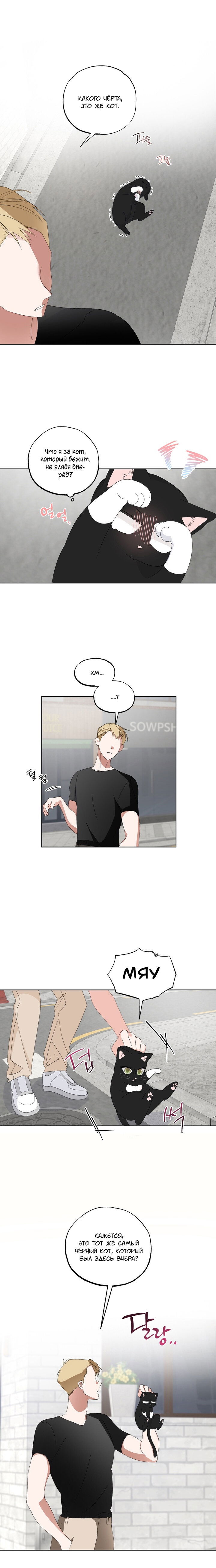 Манга Пожалуйста, полюби даже такую крысу - Глава 6 Страница 9