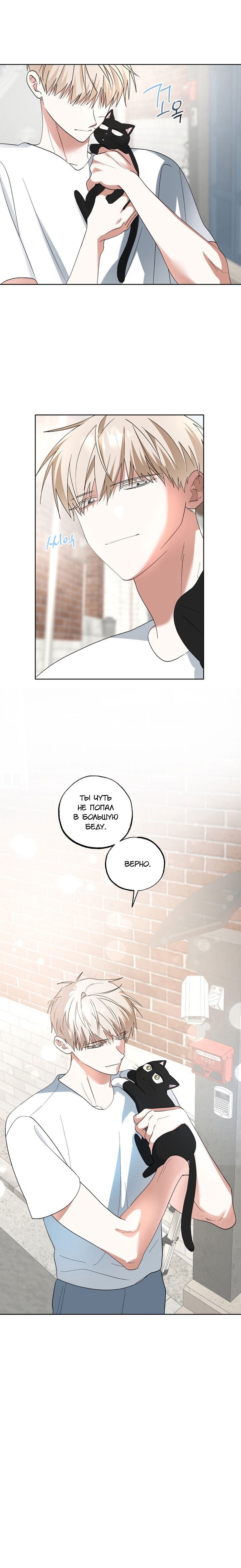 Манга Пожалуйста, полюби даже такую крысу - Глава 6 Страница 16