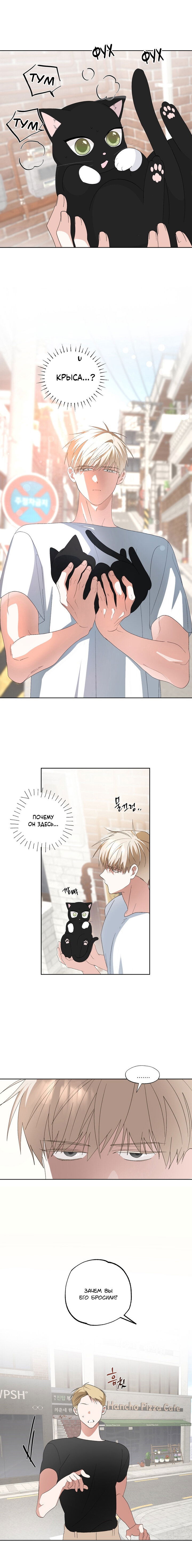 Манга Пожалуйста, полюби даже такую крысу - Глава 6 Страница 13
