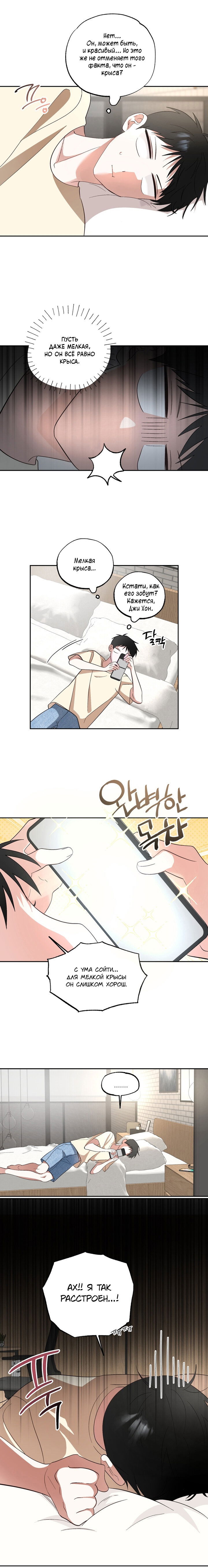 Манга Пожалуйста, полюби даже такую крысу - Глава 5 Страница 14