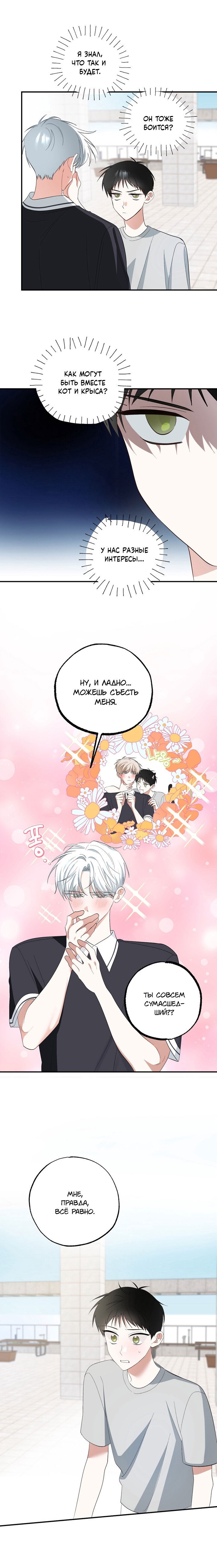 Манга Пожалуйста, полюби даже такую крысу - Глава 4 Страница 12