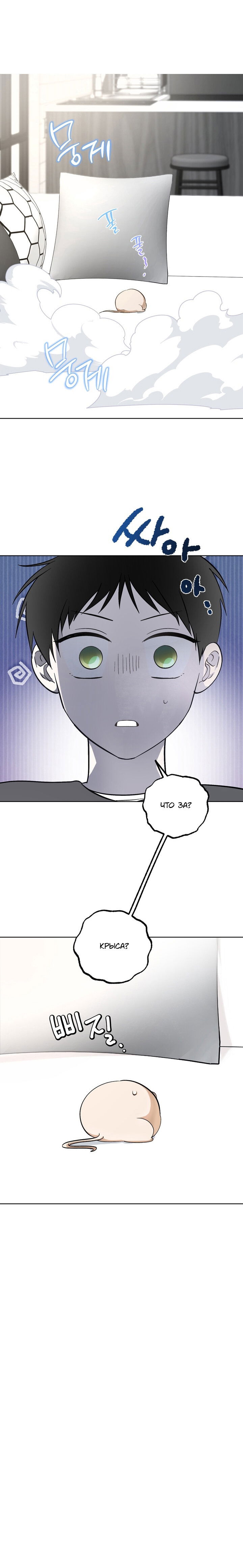 Манга Пожалуйста, полюби даже такую крысу - Глава 2 Страница 18