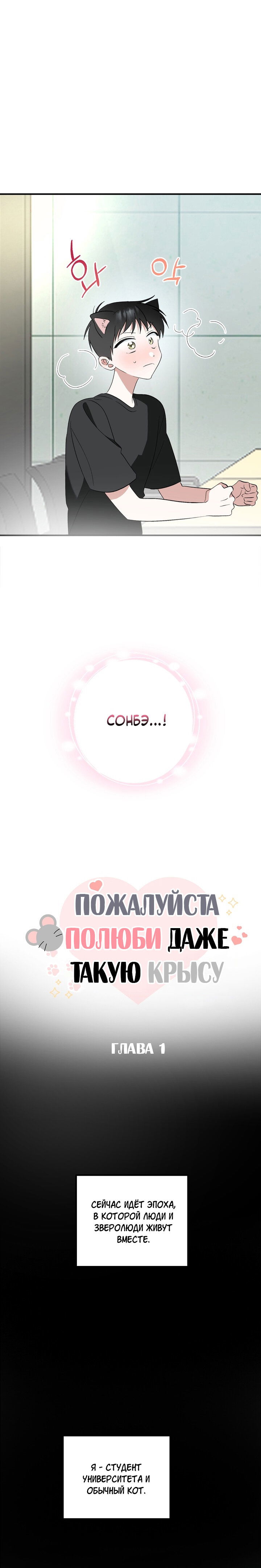 Манга Пожалуйста, полюби даже такую крысу - Глава 1 Страница 8