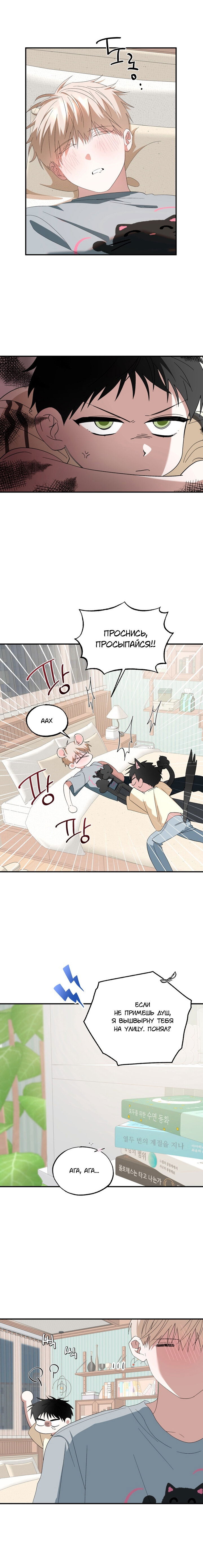 Манга Пожалуйста, полюби даже такую крысу - Глава 16 Страница 15