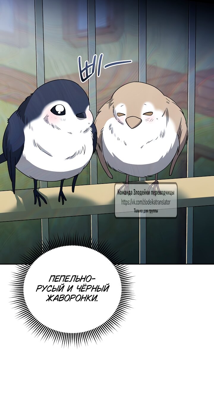 Манга Мой дорогой эрцгерцог на поводке - Глава 2 Страница 60