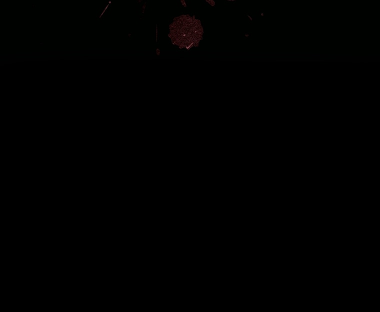 Манга Мы с моим мужем попаданцы - Глава 25 Страница 77