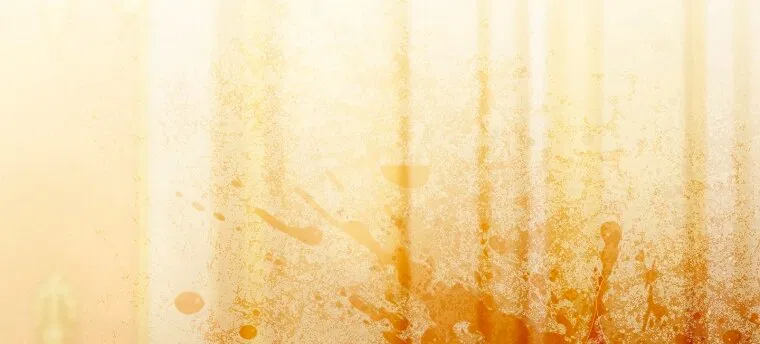 Манга Мы с моим мужем попаданцы - Глава 31 Страница 71