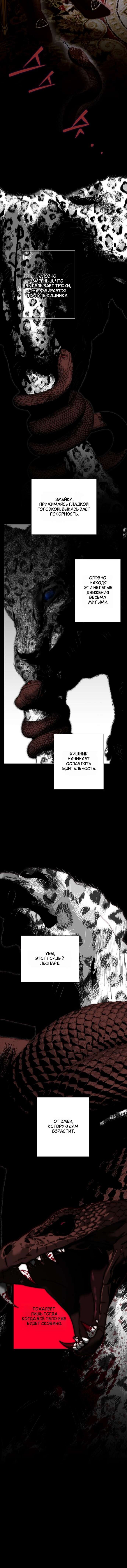 Манга Осколки хрустальной туфельки - Глава 29 Страница 12