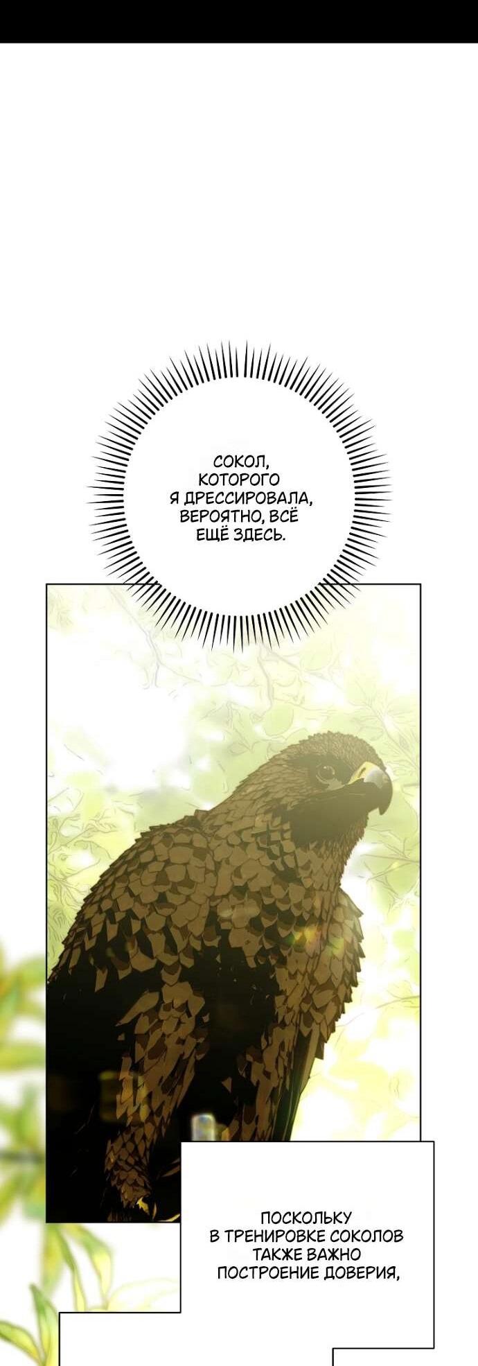 Манга Осколки хрустальной туфельки - Глава 23 Страница 21