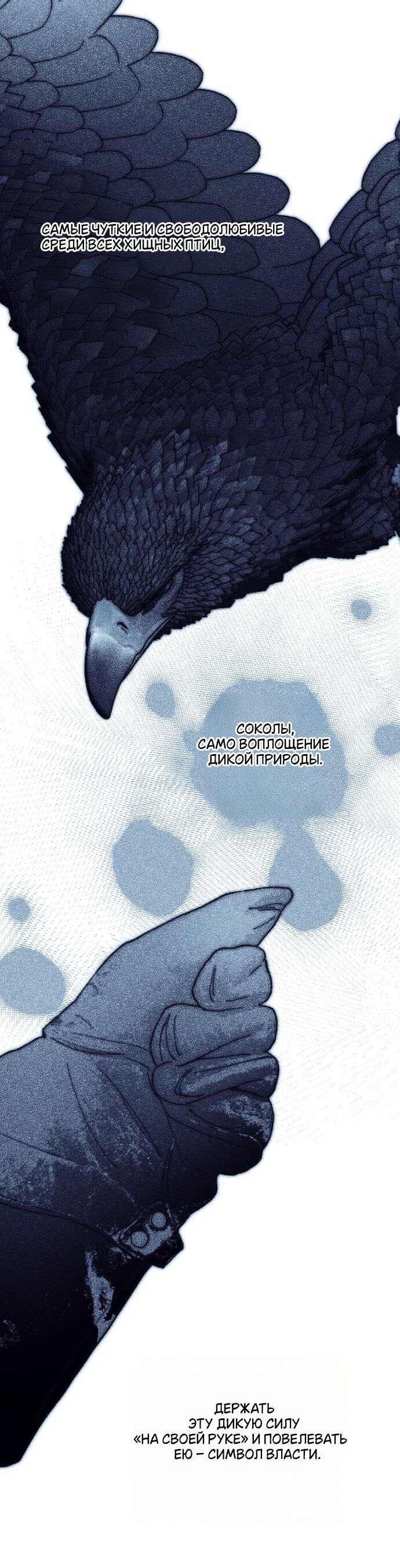 Манга Осколки хрустальной туфельки - Глава 23 Страница 6