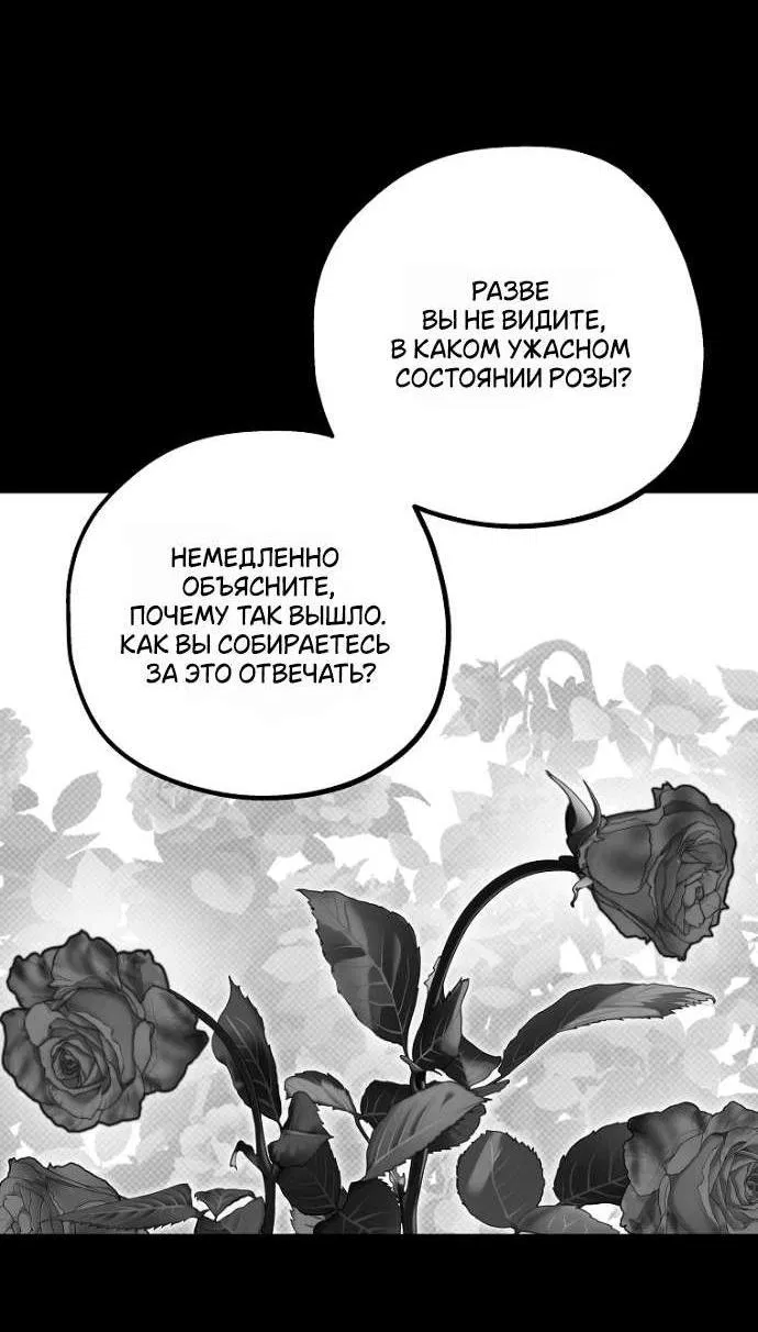 Манга Осколки хрустальной туфельки - Глава 5 Страница 5