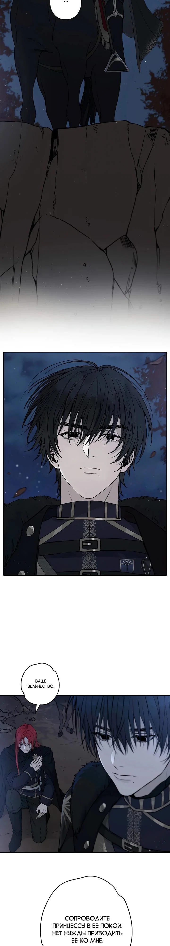Манга В птичьей клетке ледяного императора - Глава 3 Страница 28