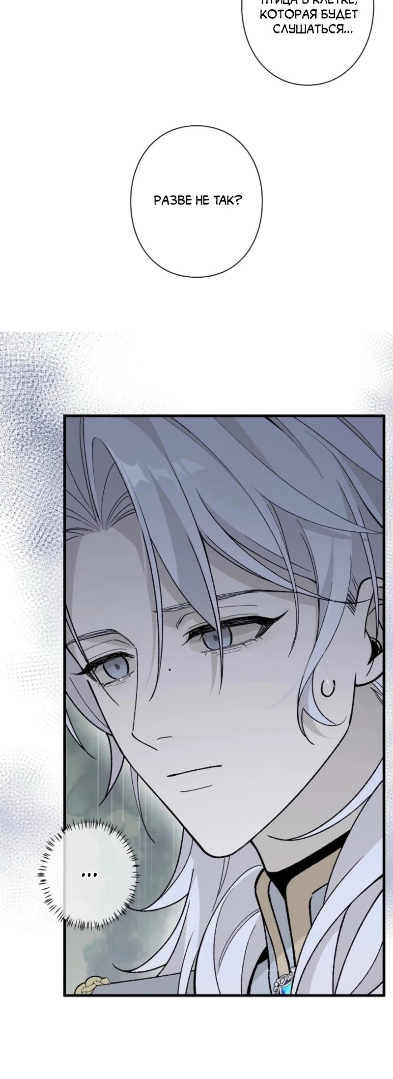 Манга В птичьей клетке ледяного императора - Глава 19 Страница 15