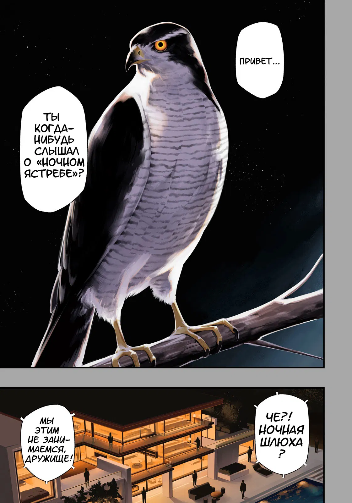 Манга Ночной Ястреб Возвращается - Глава 1 Страница 1
