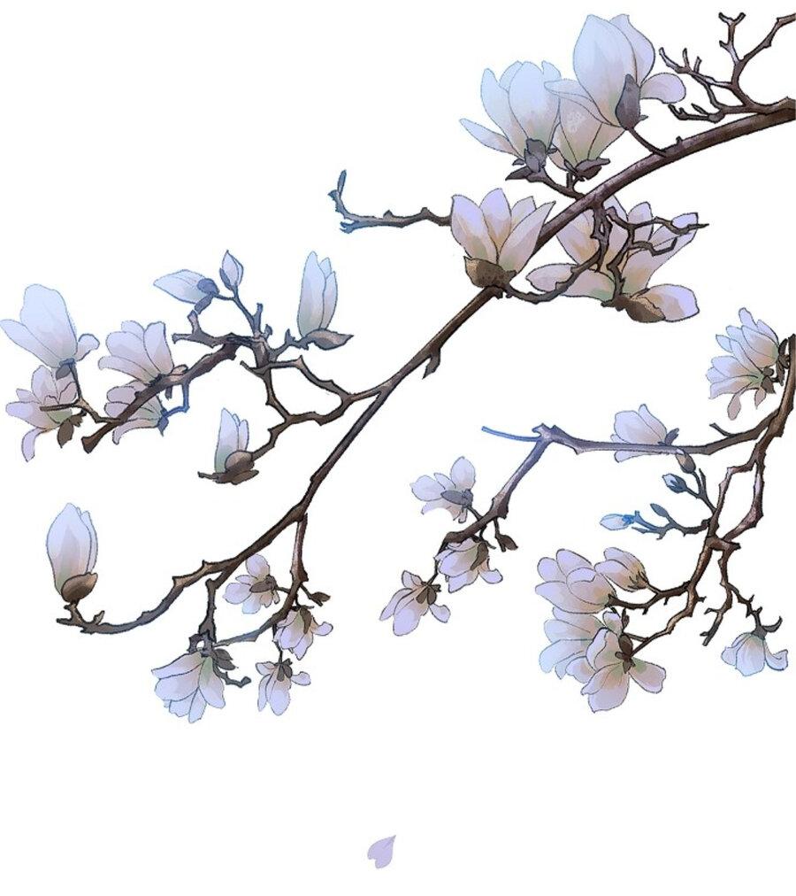 Манга Как я стал ненавистным наложником императора - Глава 12 Страница 29