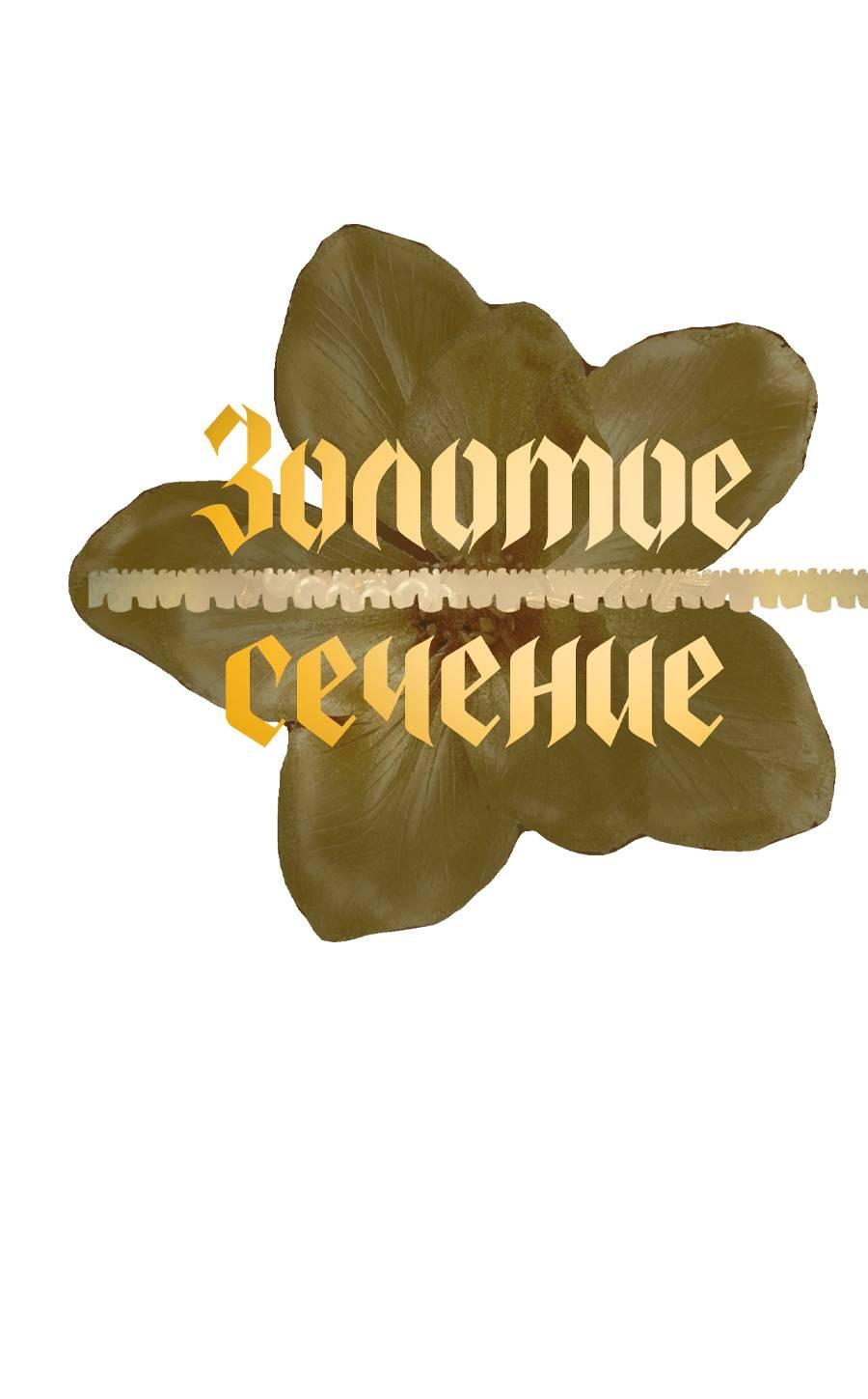 Манга Золотое сечение - Глава 17 Страница 1