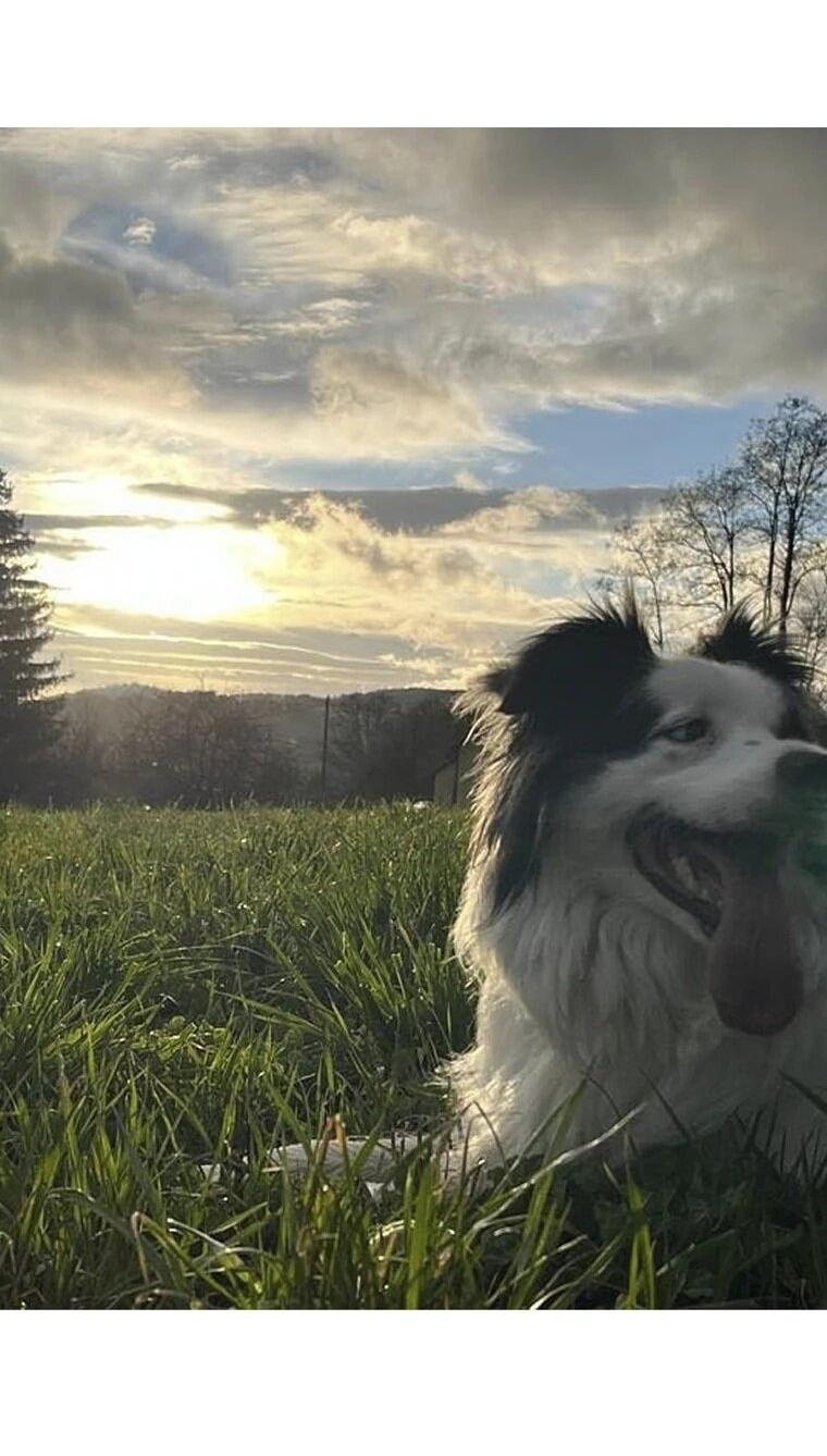 Манга Пуповина - Глава 13 Страница 8