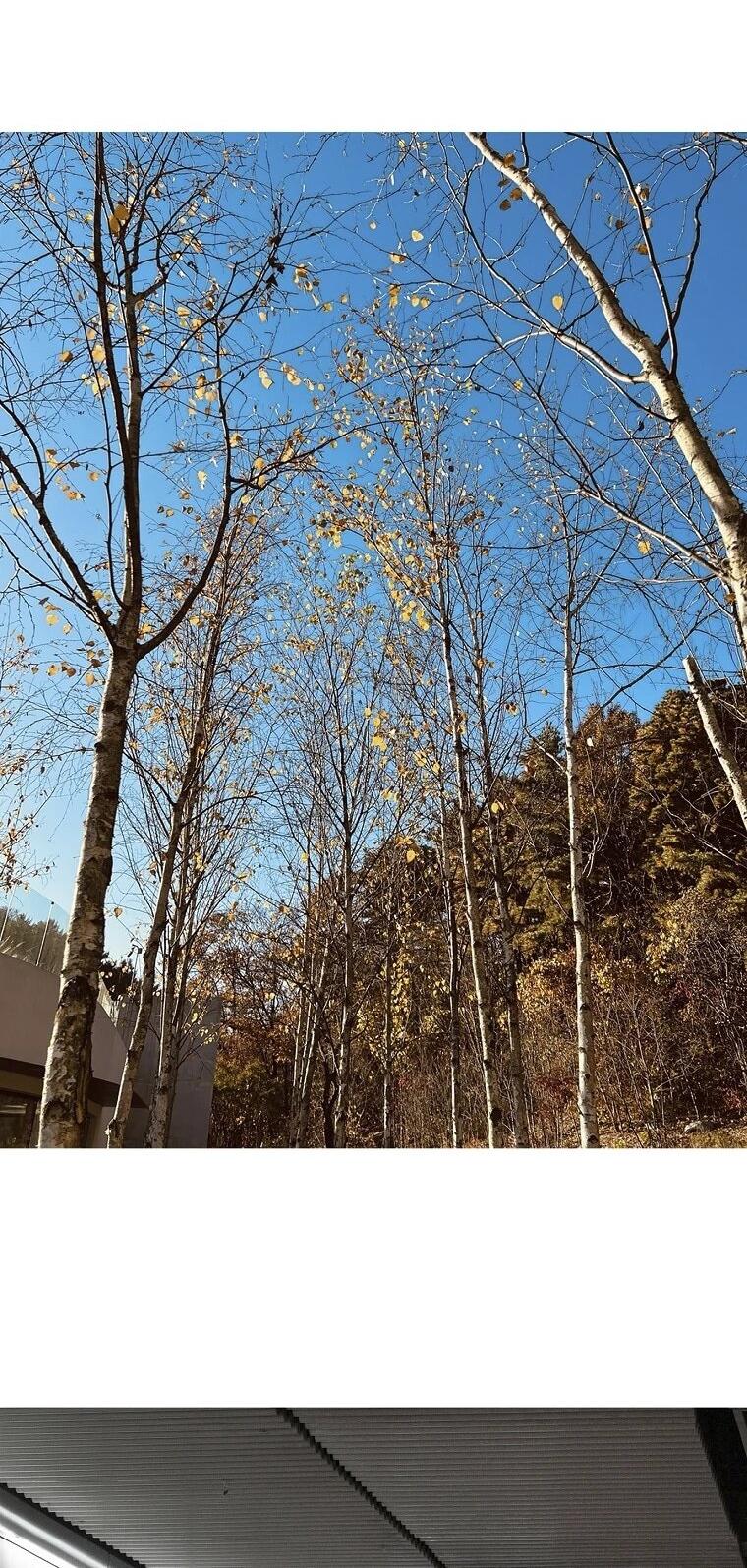 Манга Пуповина - Глава 13 Страница 5